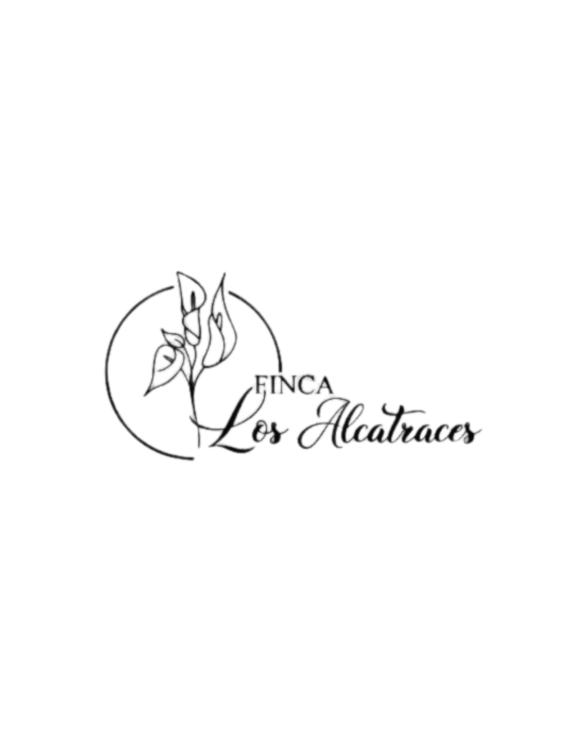 Ads 12 LogoKreatify06
